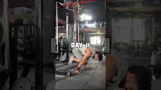 Day 11 | Calisthenics Straight Arm Workout