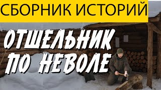 картинка: ОТШЕЛЬНИК ПОЛНАЯ ВЕРСИЯ ТАЁЖНЫЕ ИСТОРИИ / ИСТОРИИ НА НОЧЬ