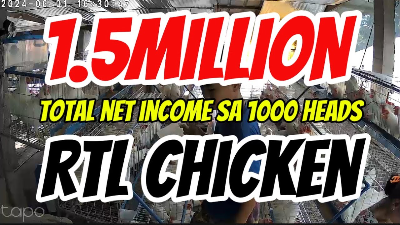 1.5M NA POSIBLENG INCOME SA 1000 HEADS RTL CHICKEN!