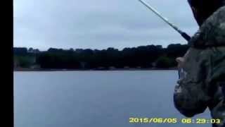 Lake Norman Blue Catfish: 6/05/15