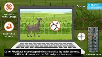 Bekaert Fixed Knot Fence | Marathi