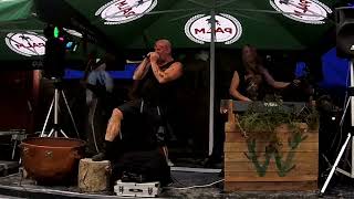 WILDERNIS - The Druid (Official Live Video)