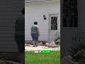 Dog Training: Stop Your Dog From Eating Rocks! #shorts