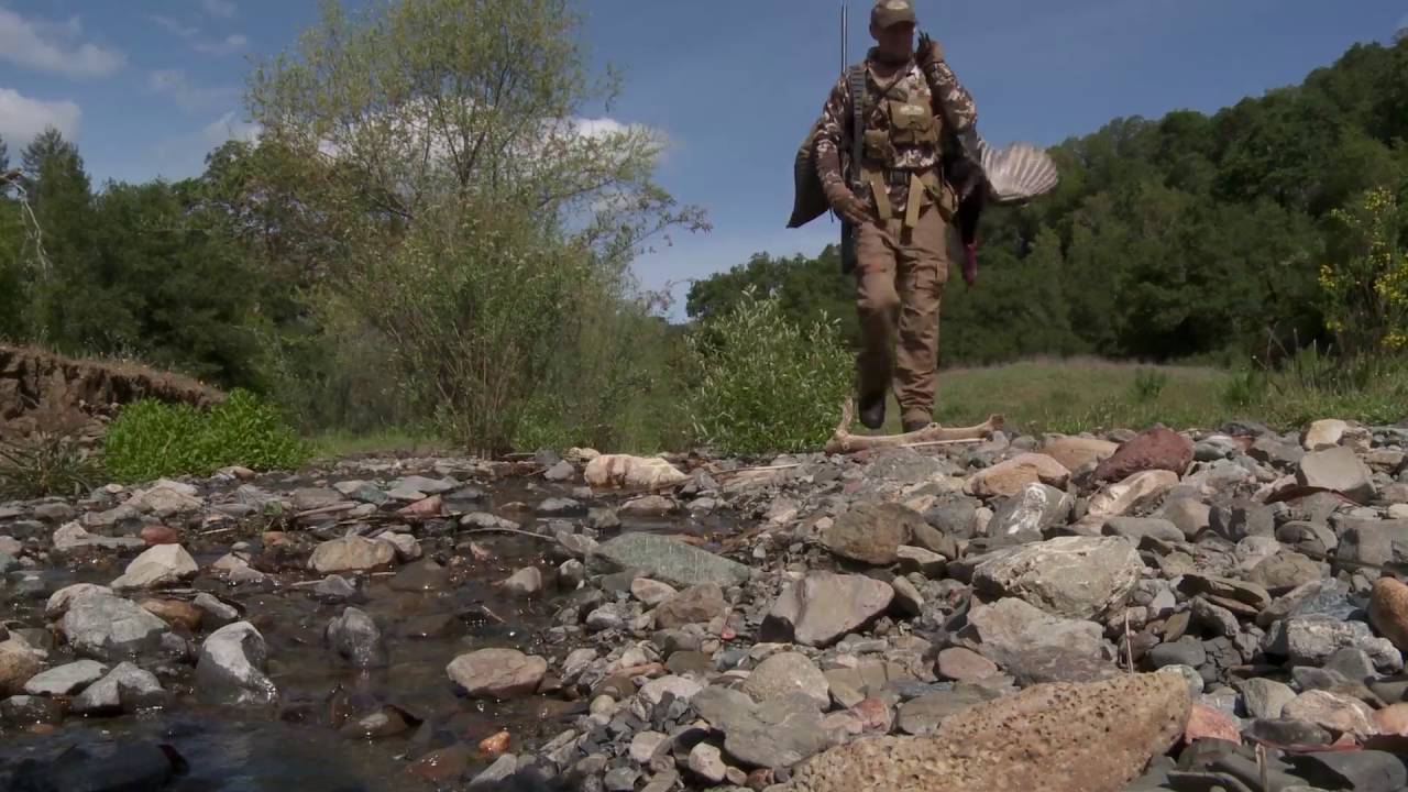 Rise and Fly with the National Wild Turkey Federation