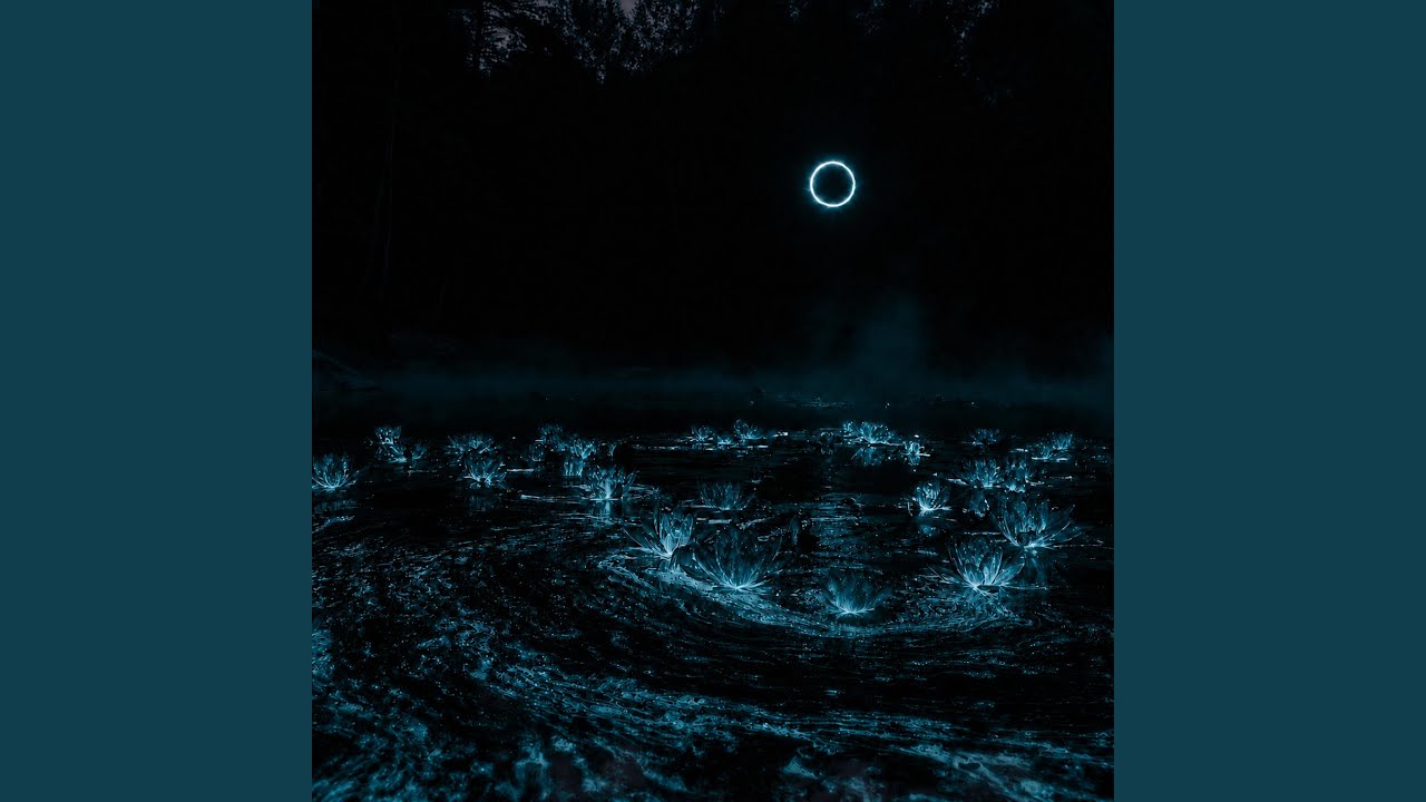 Watch Moonflower on YouTube Watch Moonflower on YouTube