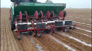 When you plant potatoes, do you need to lay drip irrigation lines and plastic mulch? #potatoplanter