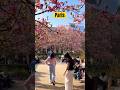 Paris , France 🇫🇷 - Spring in Paris - Jardin de Palais Royal | A Walk In Paris