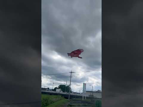 SATISFYING Flying Kite