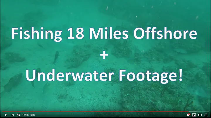 18 Miles offshore from St Petersburg, FL  Cobia, Grouper, Snapper, and Grunts + Underwater Footage
