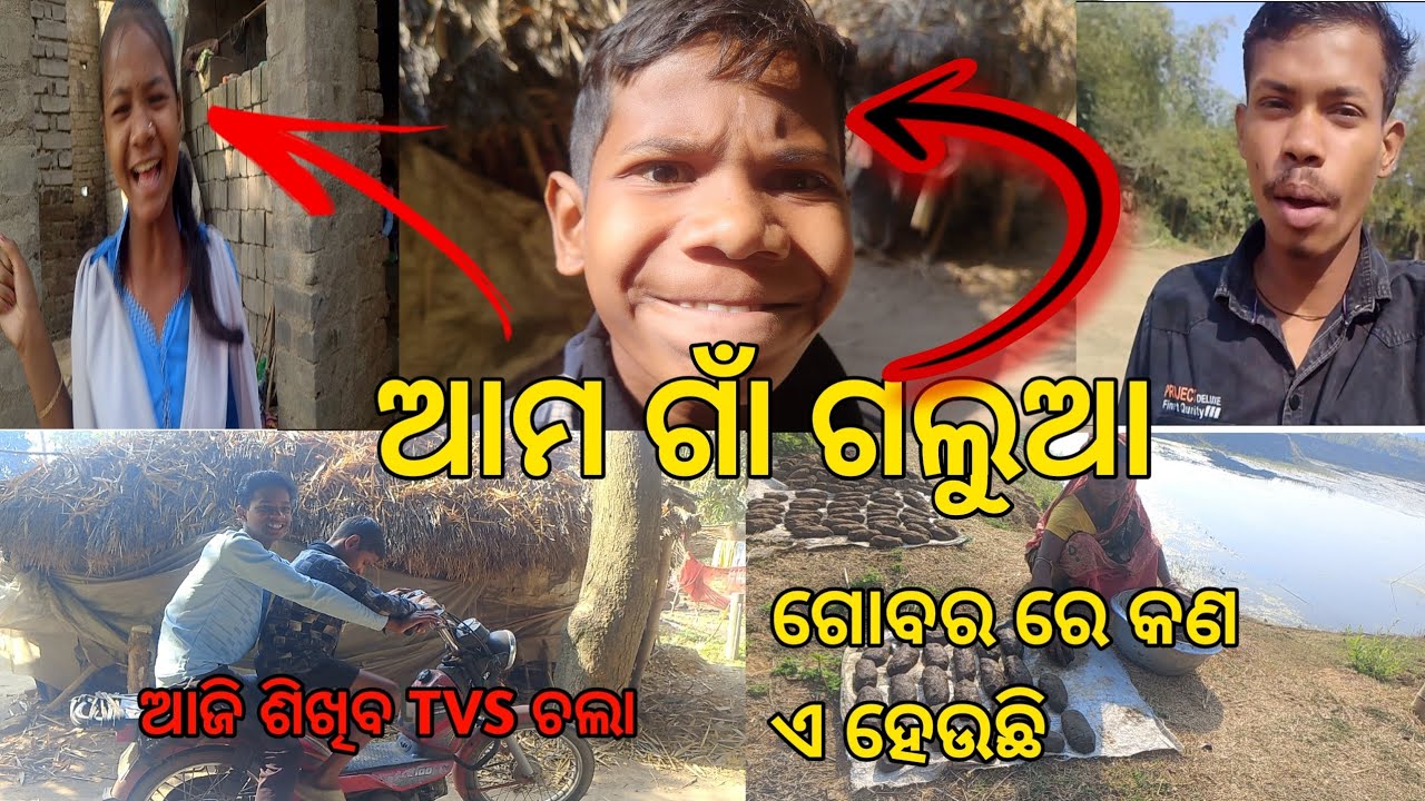 ଆମ ଗାଁ ଗଲୂଆ ଛୁଆ #ଓଡ଼ିଆ vlogs video like share subscribe #yt video #rb vlogs 45#funny video 