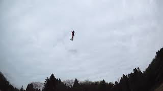 20190323-2