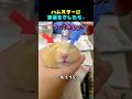 ハムスターに目薬をさしたら こうなった