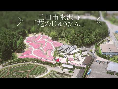 三田市 花のじゅうたんーパート2 Youtube 三田市 花のじゅうたんーパート2 Youtube