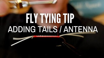 Tying Quick Rubber Leg Tail & Antenna