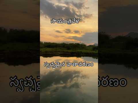 రోజులో ఒక్కసారైనా ఇలాంటి ప్లేస్ కి వెళ్ళండి #viralshort #eveningvibes #likeshare  #villagelife