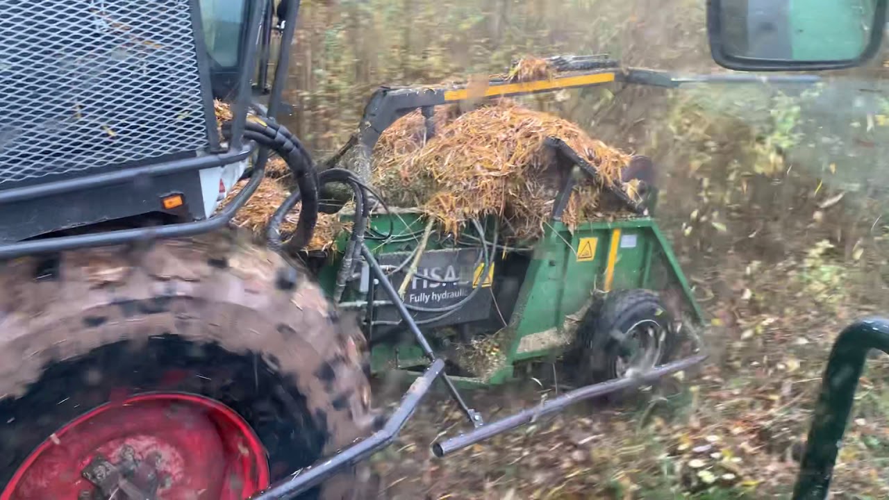 Claas Jaguar 950 Harvesting SRC Willow