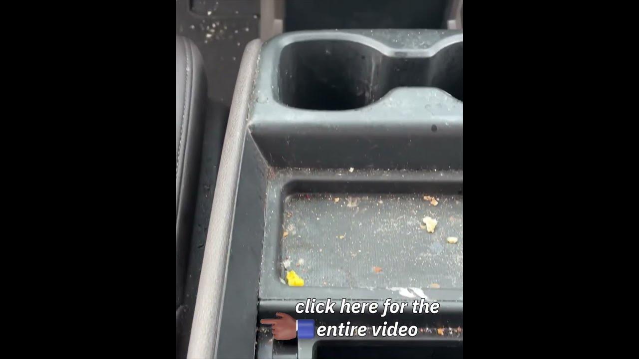 Interior Detail With Harbor Freight Steam Cleaner harborfreight 