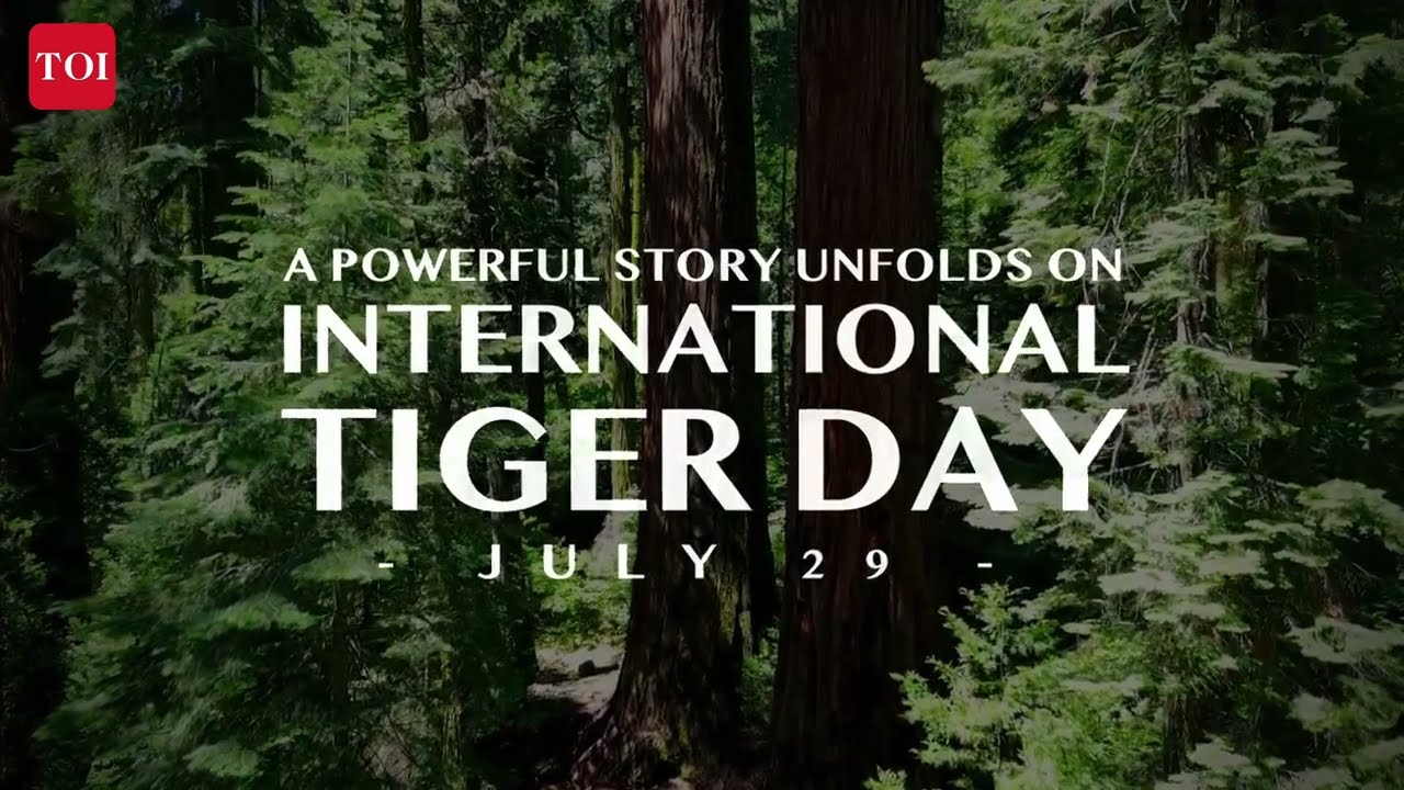 International Tiger’s Day Film | Promo is out now!