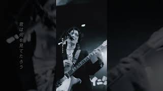 ✳✳「ネクター」Live Video Out✳✳