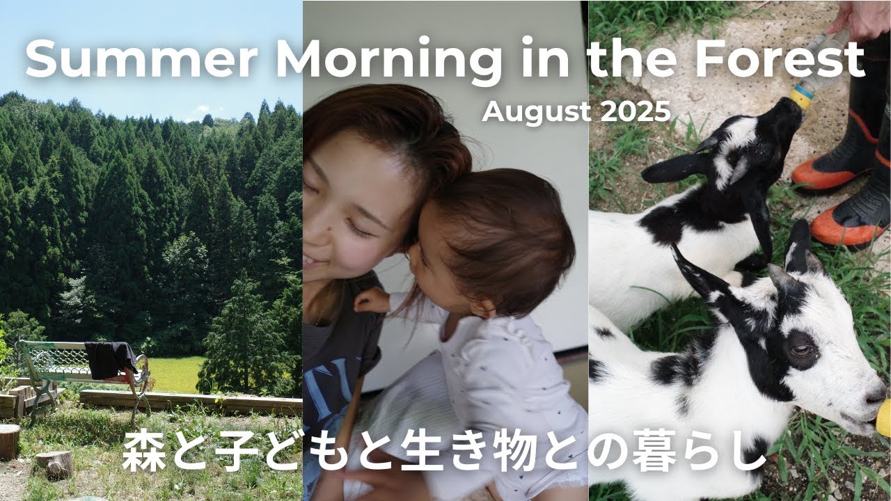 【日常vlog】森で生き物と暮らす4人家族の夏休み☀️朝ごはん🫑マイブーム🌬️おうちじかん🖍️