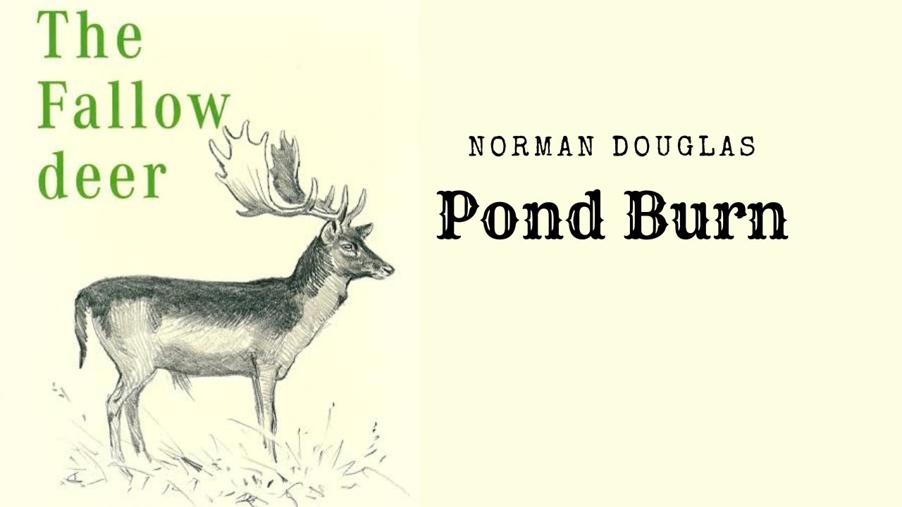 The Fallow Deer19 Norman Douglas; Pond Burn, 1957