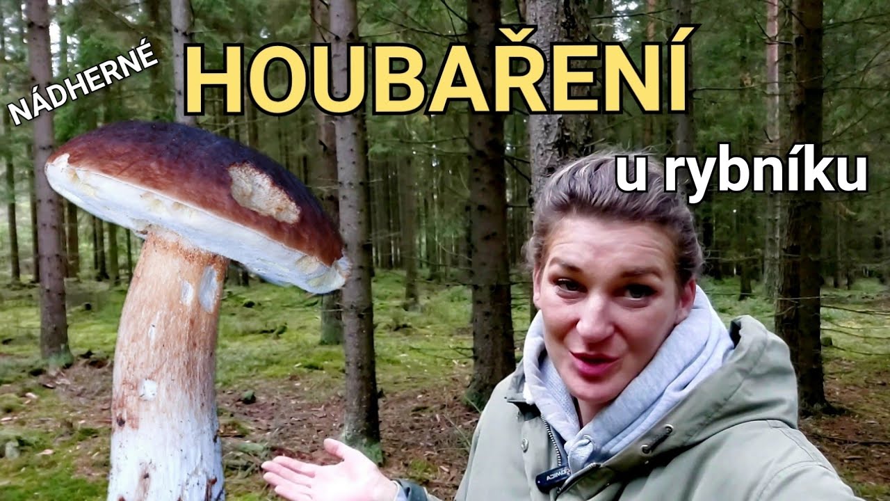 Celý víkend v lese. Nádherné podzimní houbaření 26. - 28.9.2025  na Ašsku