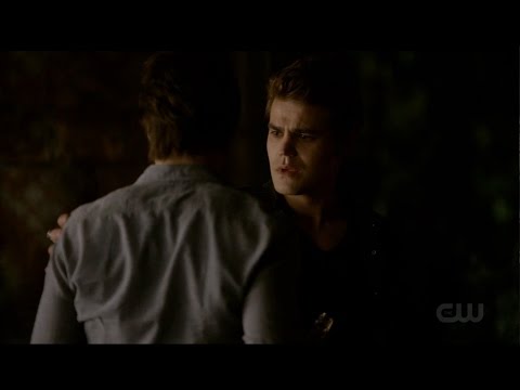 Vidéo: Est-ce que Stefan et Damon ont un autre frère ?