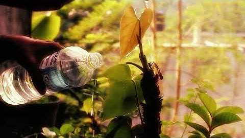 SOFT LIGHTS IN MY HOUSE | SHORT VISUAL EXPERIMENT SHOT BY KIT LENSE 18-55MM