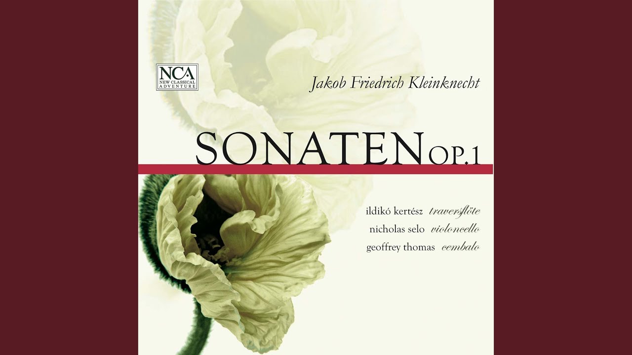 Смотреть «6 Sonatas da Camera for Flute and Continuo Op. 1: Sonate VI B-Moll. III. Presto» на YouTube