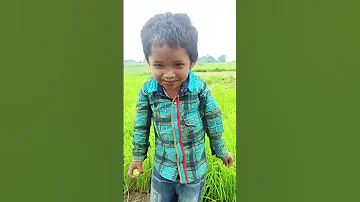Pani Pani MP3 Dhol Bajao Comedy Funny Song Bhojpuri Sorts 