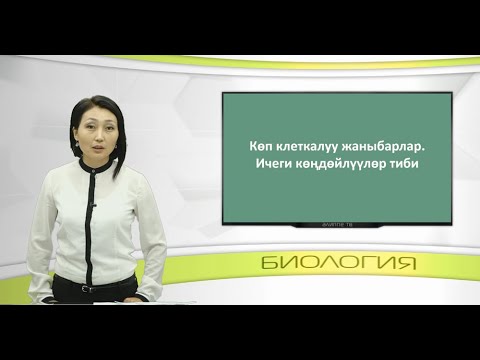 Video: Булчуң тканы бир клеткалуубу?