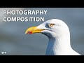 Photography composition (#1): Introduction