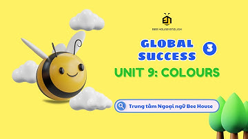 GLOBAL SUCCESS 3 UNIT 9 COLOURS