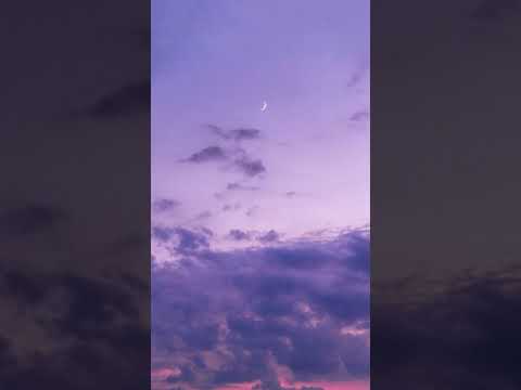 European Jazz Trio - 보라빛향기 (Purple Fragrance)