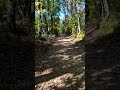 Ormanda yol ikiye ayrıldı..Ve ben az kullanılanı seçtim."Bütün farkı bu yarattı" #shortvideo #shorts