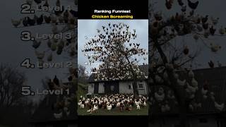 Ranking The Funniest Chicken Screaming pt 9   #funny #ranking #funnyshorts