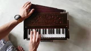 Harmonium - 2 Lines Indian Reeds Politana