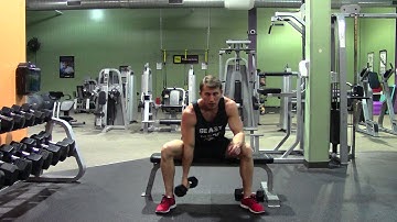 Dumbbell Concentration Curls - HASfit Biceps Exercise - Dumbbell Bicep Exercises