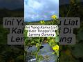 DEKAT BASECAMP GUNUNG MALANG  #pemandanganpegunungan #pemandanganalam  #nature