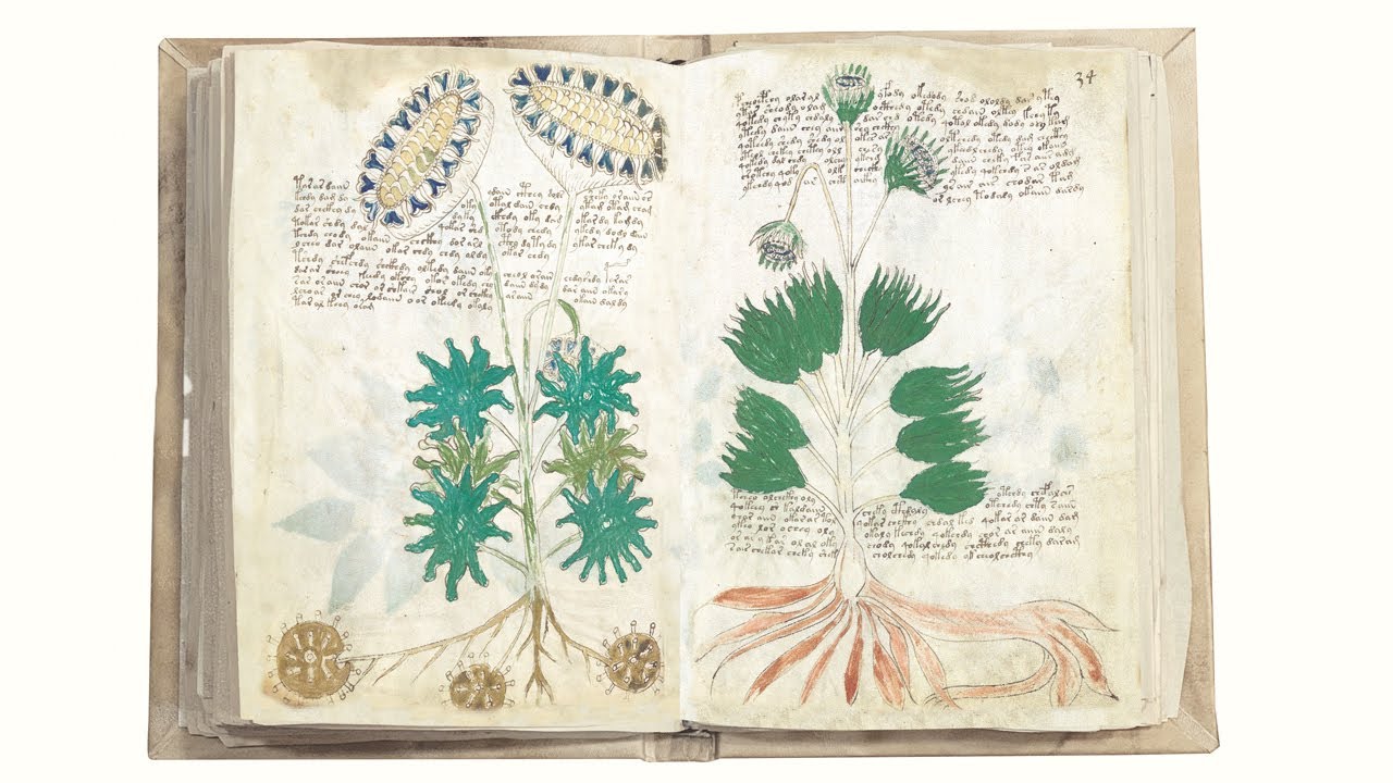 Voynich Manuscript - Patrimonio Ediciones