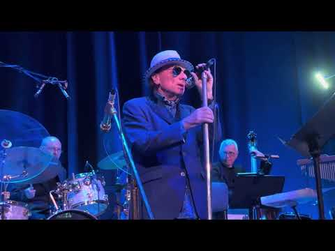 Van Morrison - Symphony Sid - 28/08/2025 - Belfast, Northern Ireland 