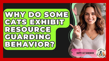 Why Do Some Cats Exhibit Resource Guarding Behavior? - Happy Cat Handbook