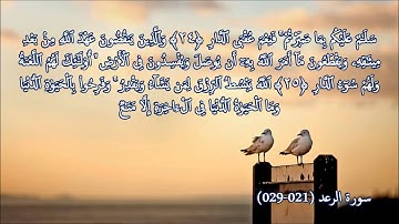 تلاوة هادئة تريح النفوس بصوت الشيخ أبوبكر مومني - سورة الرعد (021 - 029)