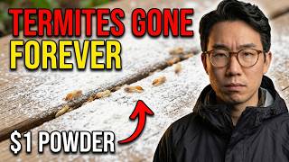 $1 Powder KILLS ALL Termites. FOREVER. BANNED 23 States. They PRAYED You'd Never Know