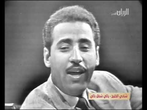 يلي شغل بالي شادي الخليج