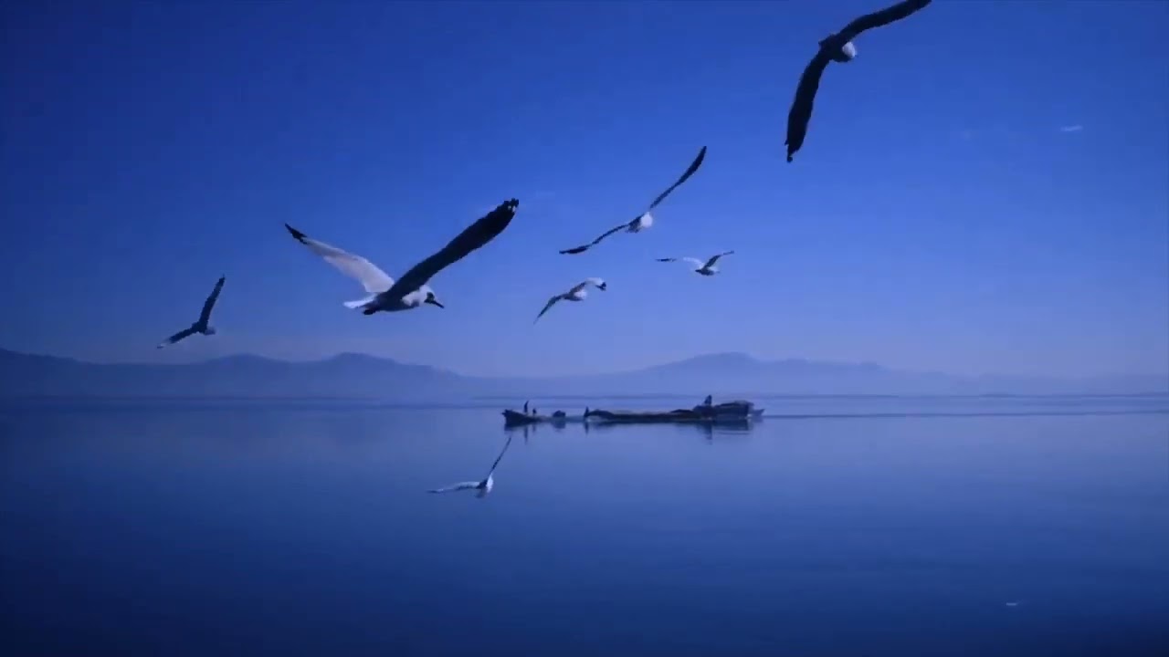 قصة شهيد ...الشيخ محمد سبيتي