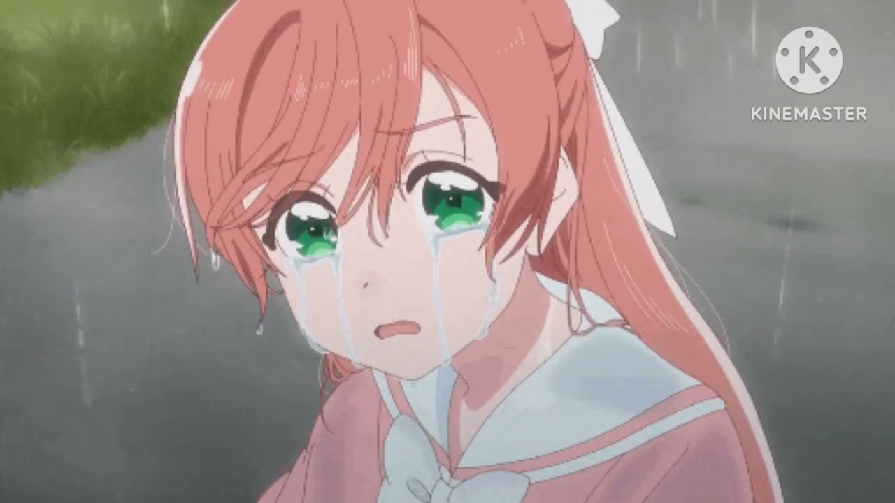 Jonas Brothers:Fly With Me (PAL/High Tone Only) (2009)