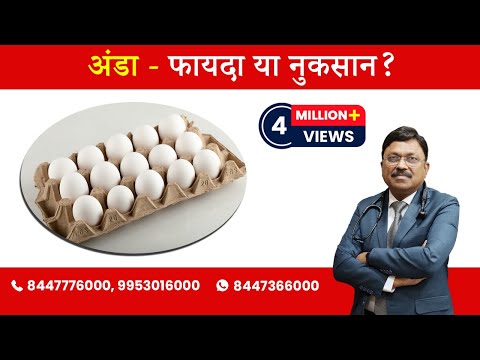 वीडियो: मुर्गी का अंडा। नुकसान या फायदा?