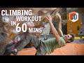 How To Train Efficiently For Climbing In 60 Minutes | Climbing Daily Ep.1518