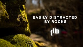 "Easily Distracted By Rocks" A Documentary